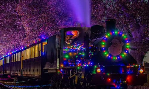 Noel Night Train