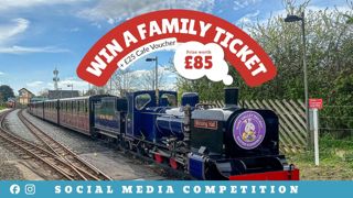 Easter Eggspress Competition