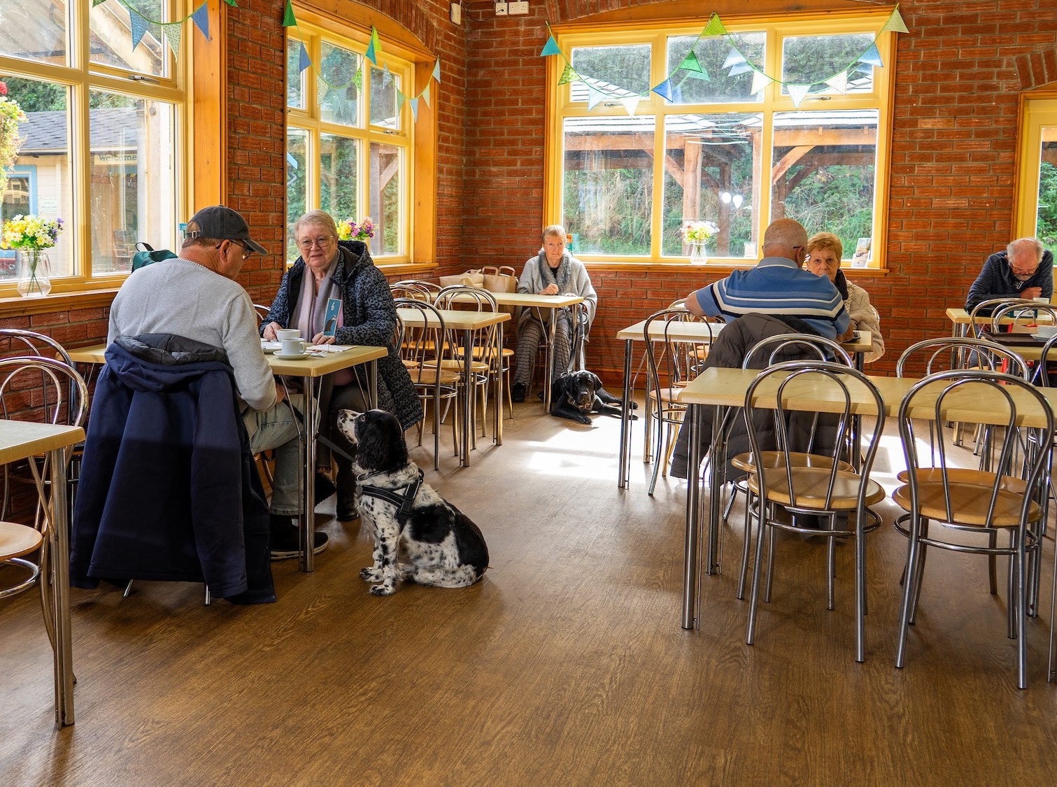 Dogs Beside Owners Sitting In The Whistlestop Cafe
