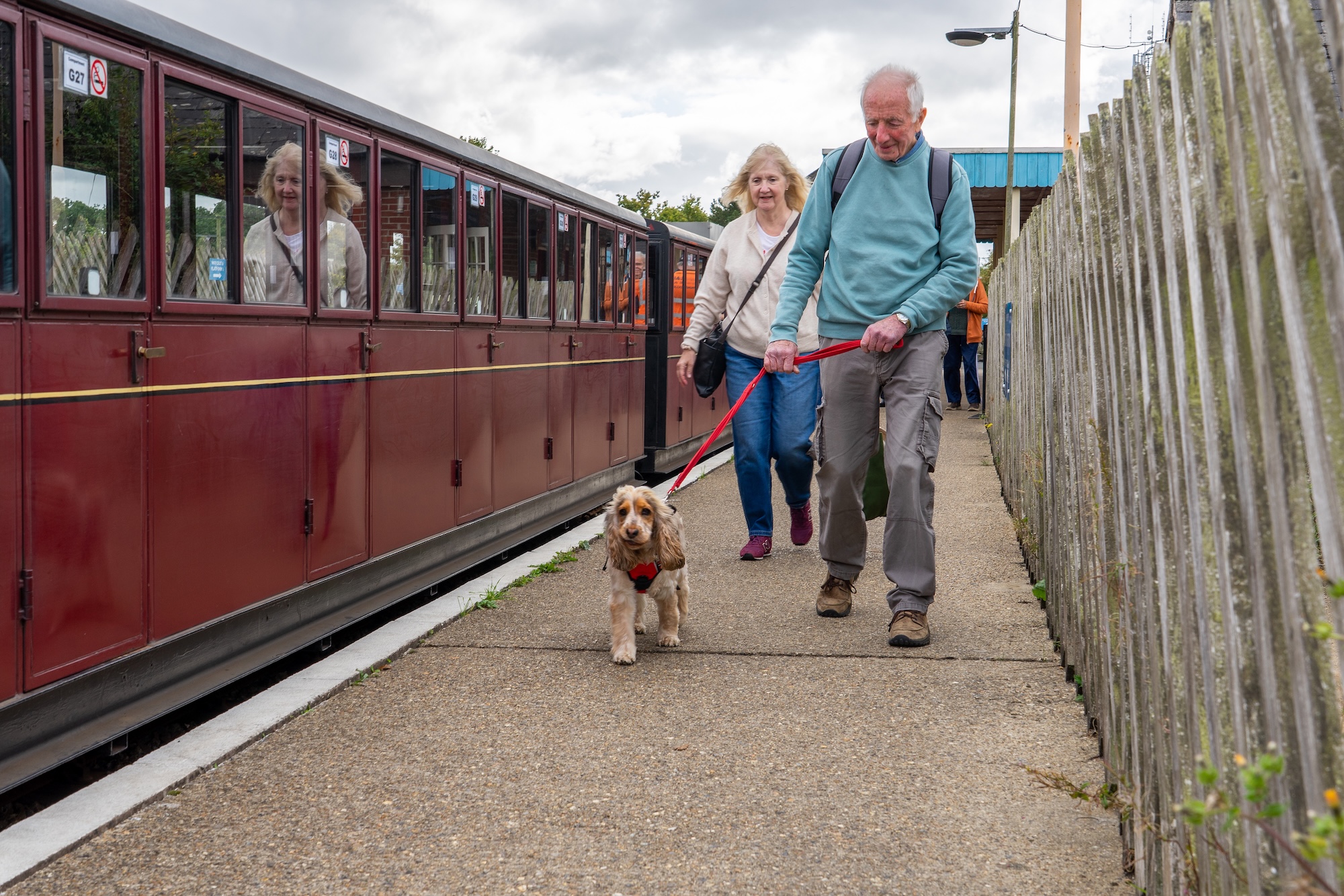Dog Owners Walking With Their Dog To Board The Train