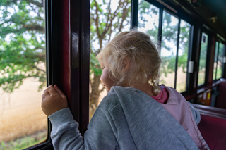Blonde little girl looking out of the train carriage window