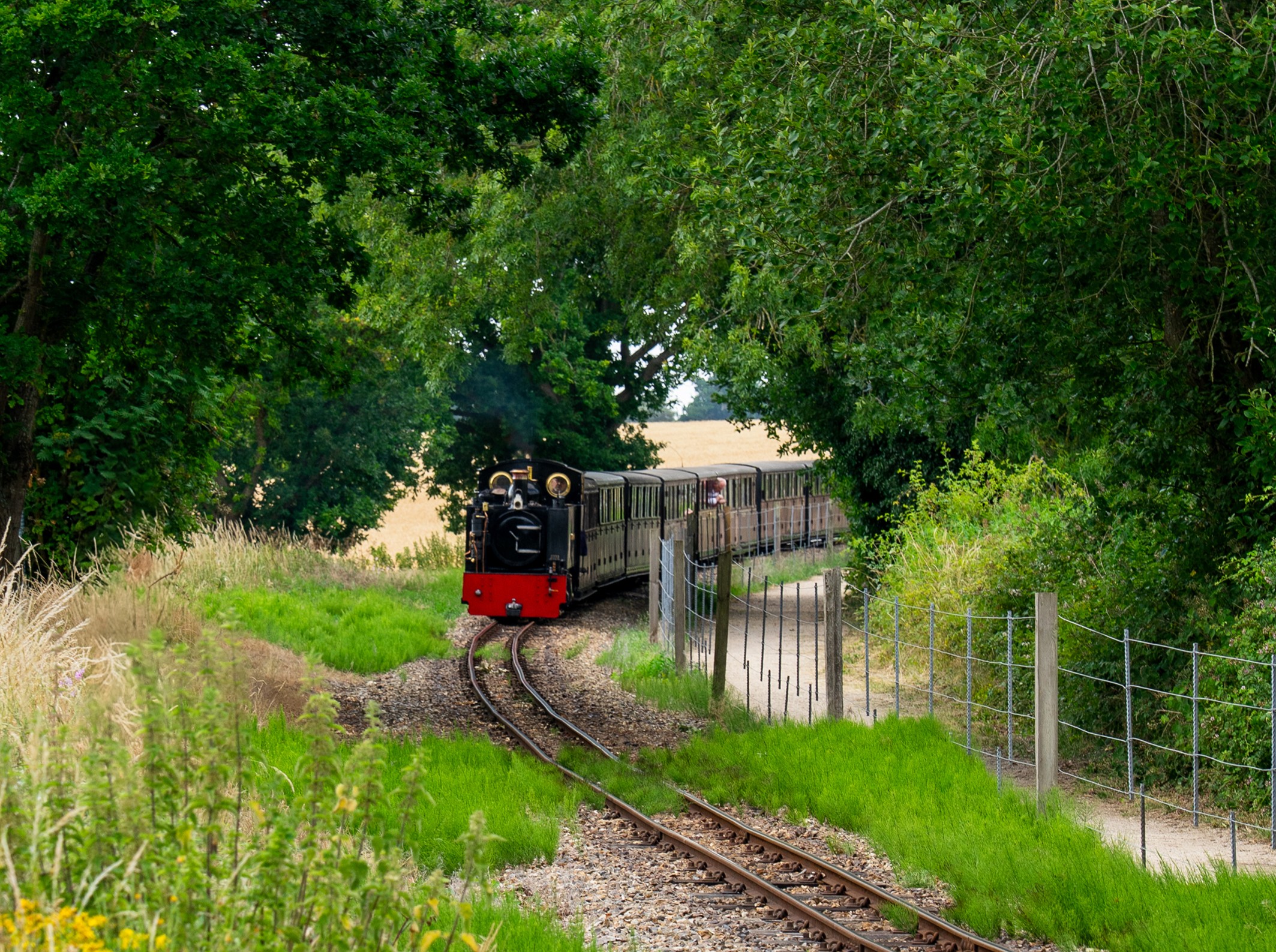 No. 8 John Of Gaunt Rounding The Curve Through Woodland
