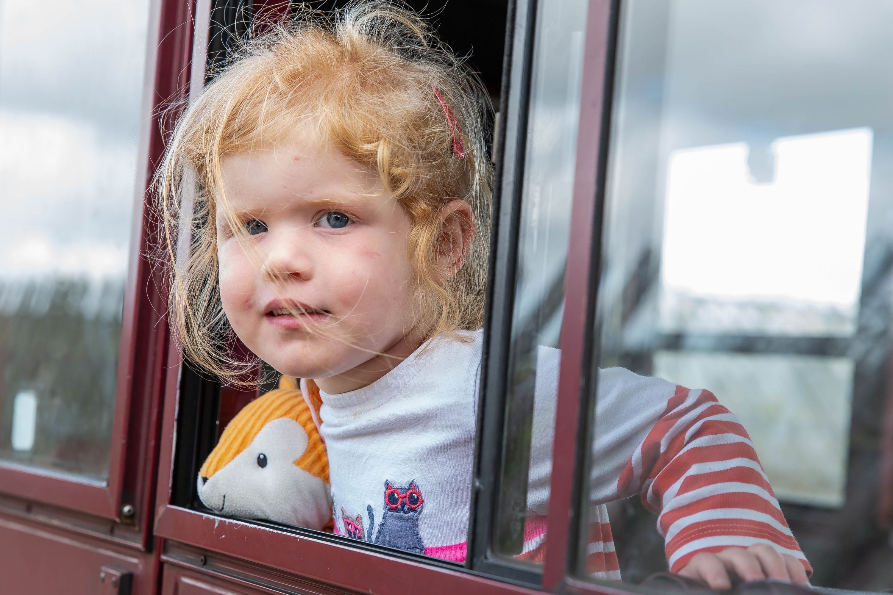 Little Girl Poking Her Head Out Of A Carriage With Her Teddy