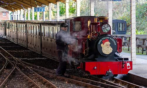 Steam Train