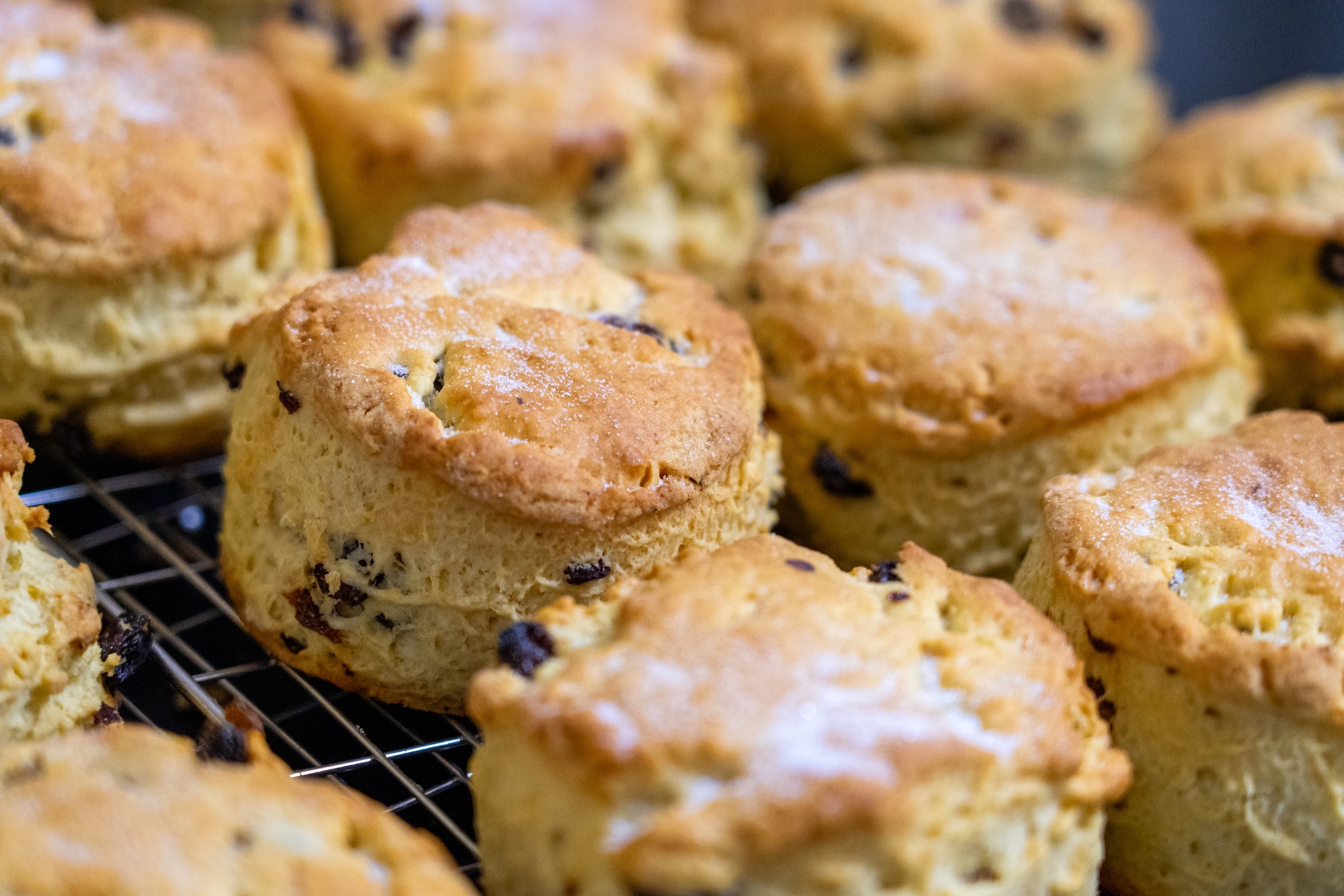 Freshly Baked Scones