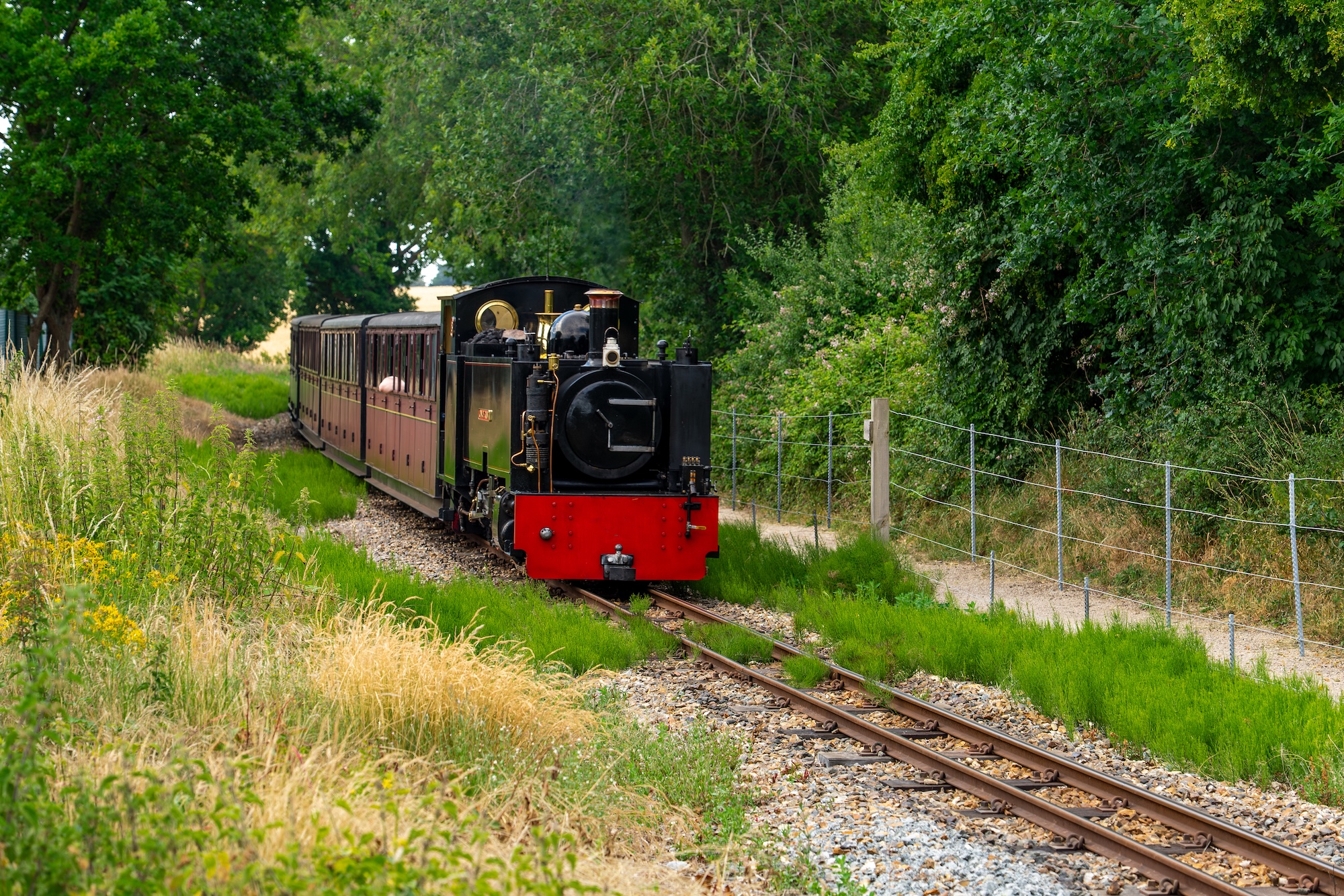 No. 8 John Of Gaunt Steaming Alongside The Bure Valley Path