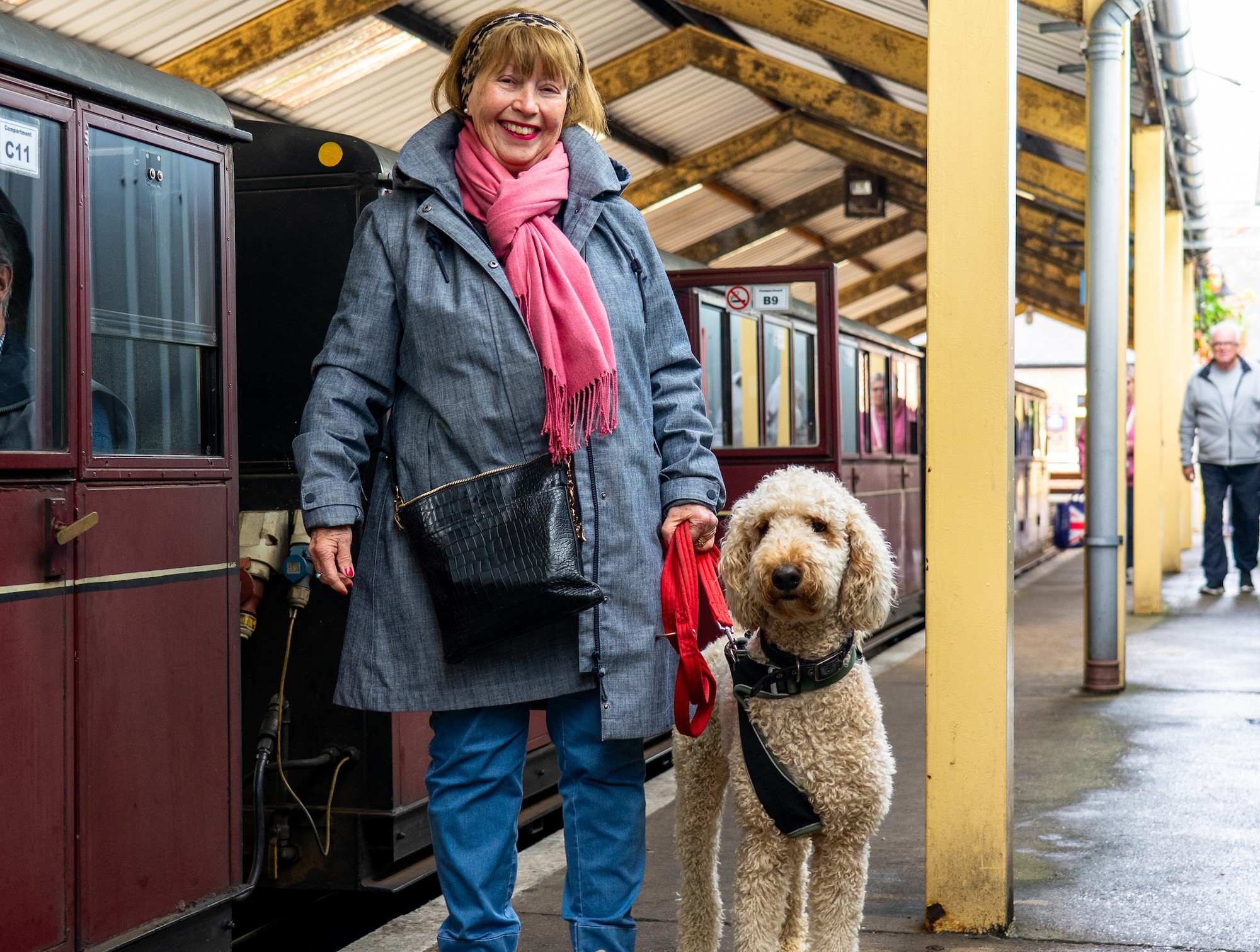 Owner And Large Dog On The Platform Next To Carriages