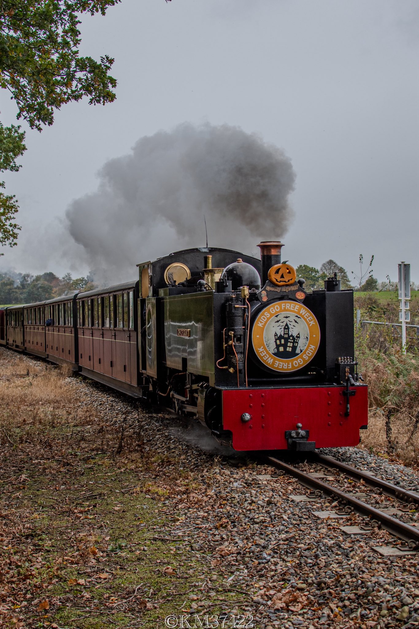 Halloween October Half Term Steam Train Journey