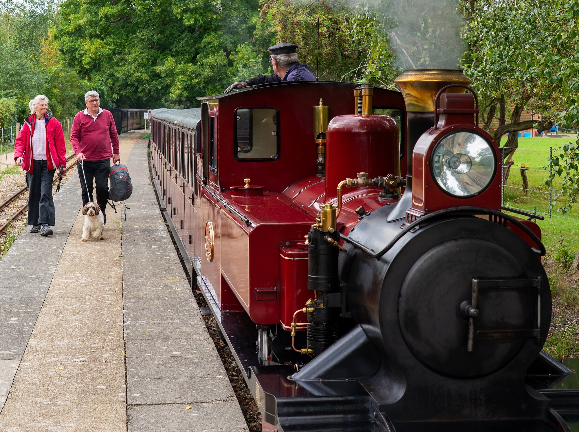 Dog And Owners Walking On The Platform Next To Mark Timothy