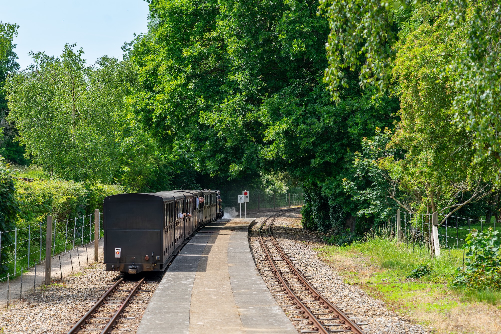 Heritage Railway Carriages Travelling Through Coltishall