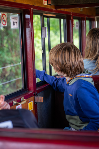 Boy looking out of the train carriage window