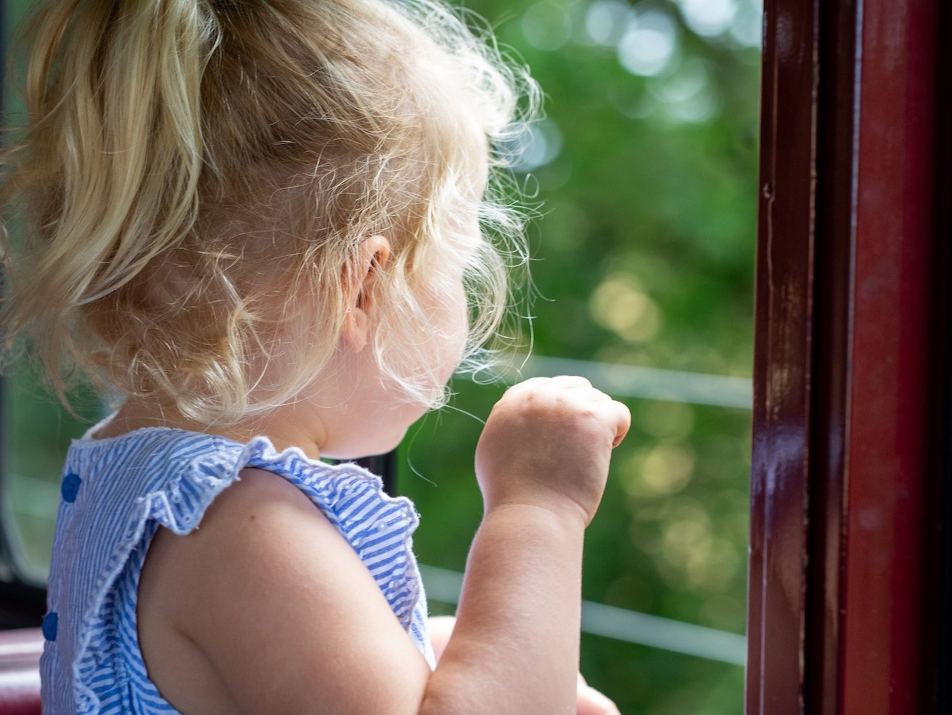 Child Looking Out From A Carriage Window