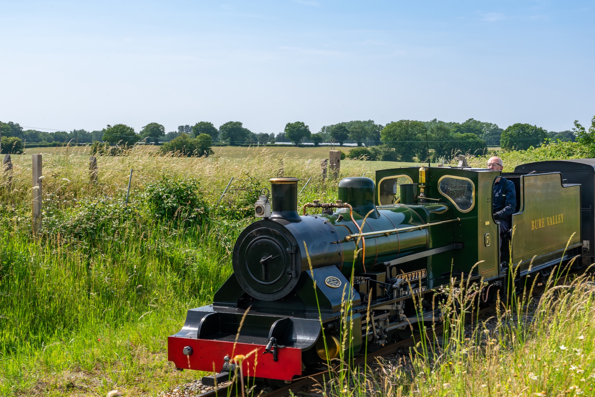 No. 7 Spitfire Beside Summer Wildflowers