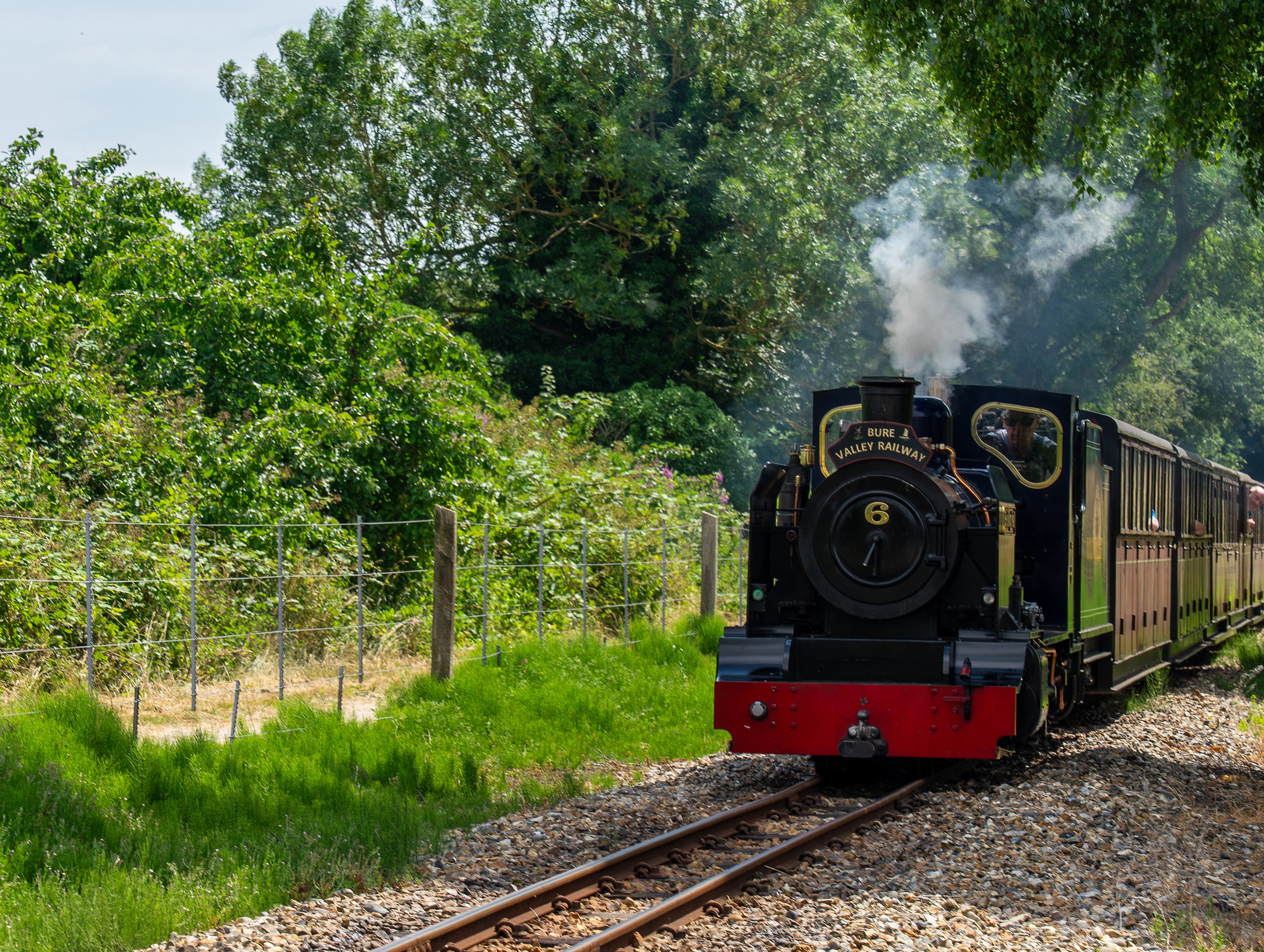 No. 6 Blickling Hall Travelling Through Woodland