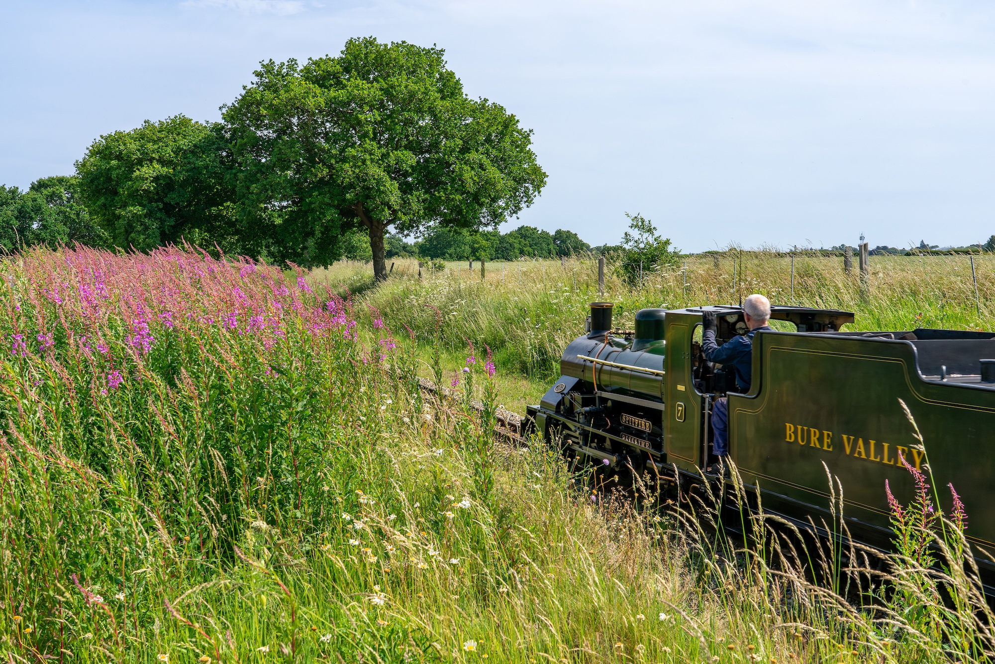 No 7 Spitfire Locomotive Travelling Through Norfolk Countryside (1)