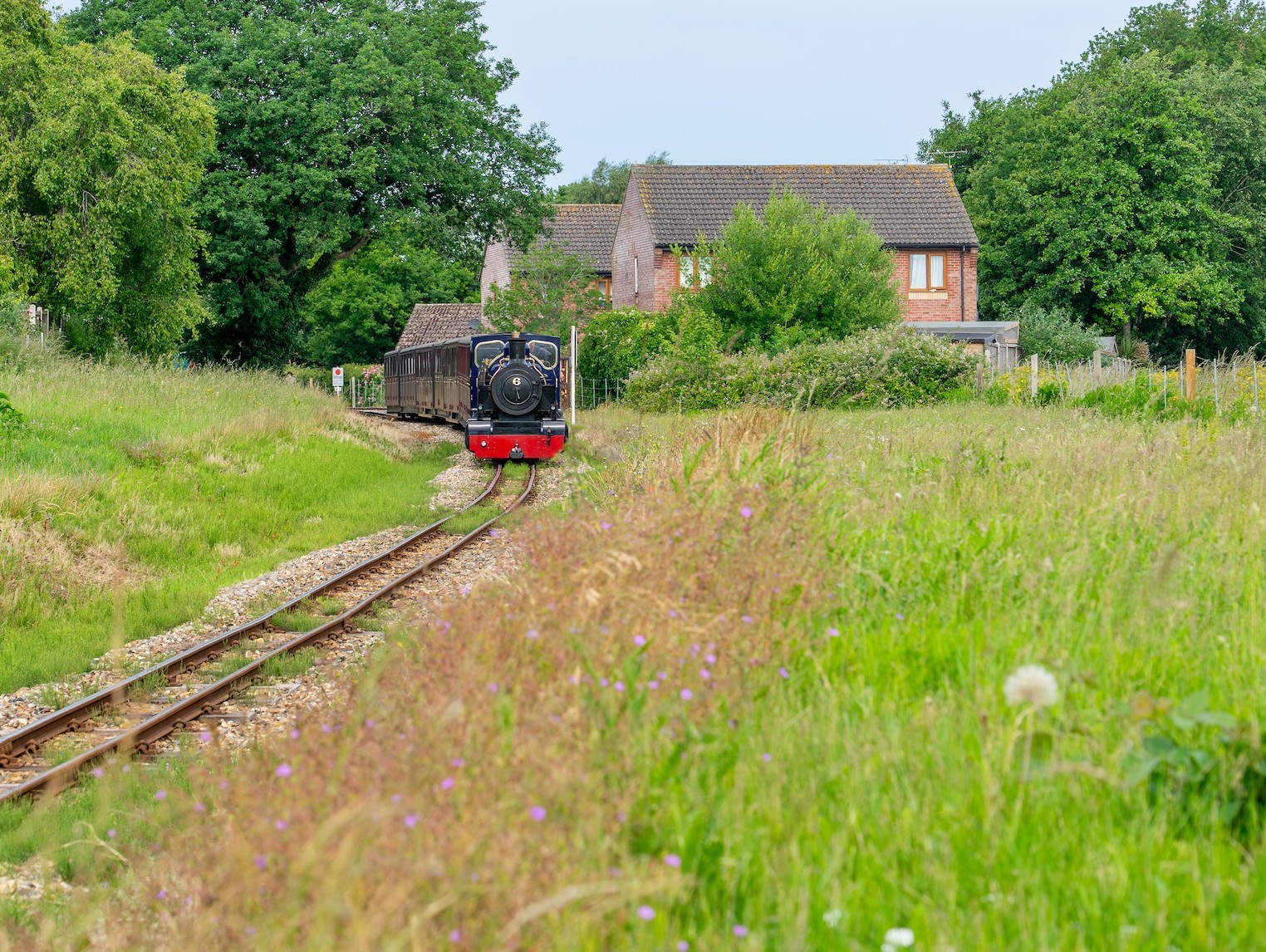No. 6 Blickling Hall Locomotive Approaching Through Norfolk Countryside