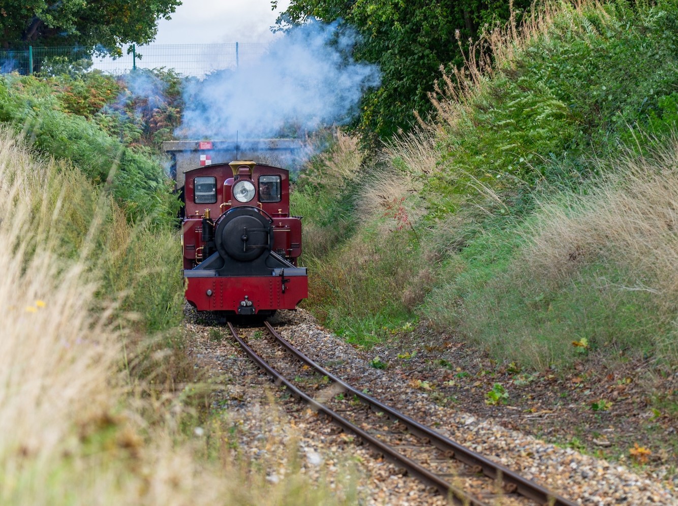No. 9 Mark Timothy Heads Through The Countryside On The Bure Valley Line