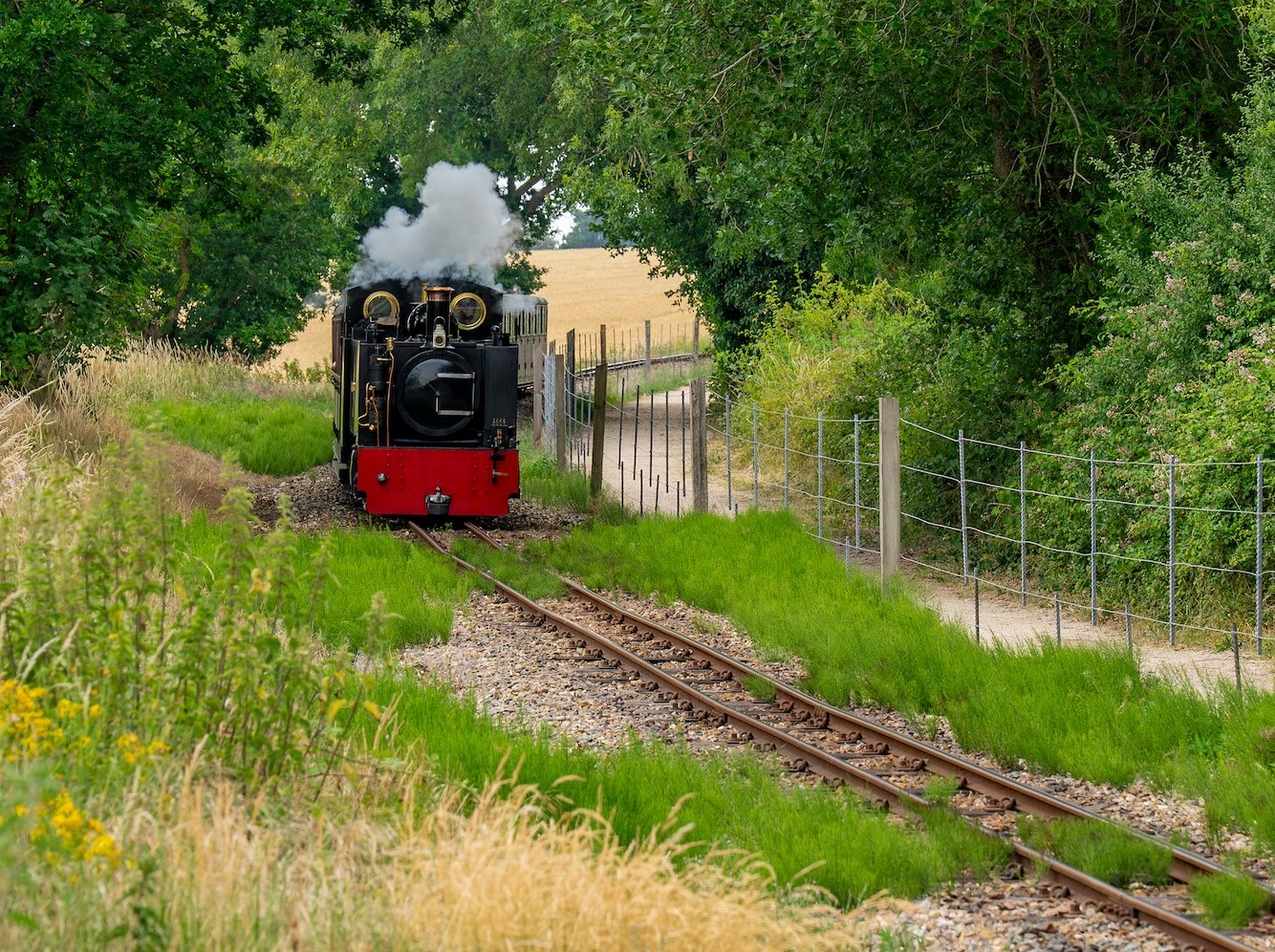 John Of Gaunt Travelling Through The Norfolk Countryside