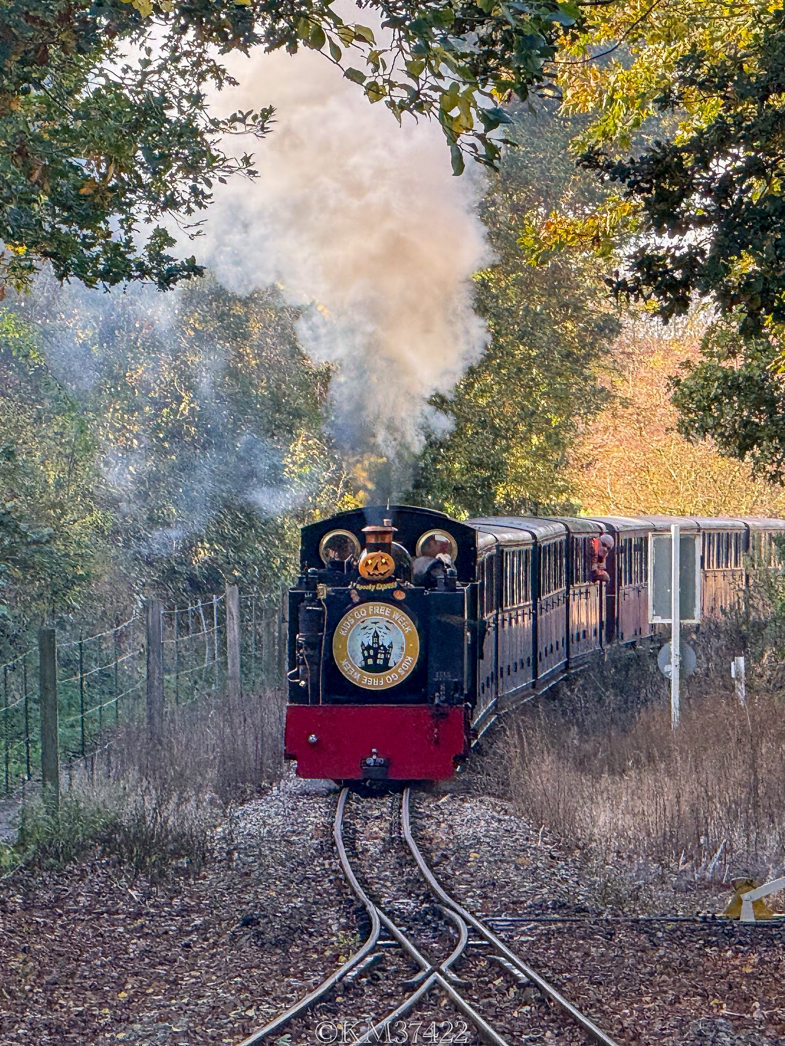 Halloween Themed Steam Train Riding Through The Countryside