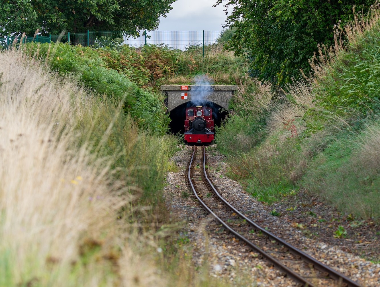 No. 9 Mark Timothy Approaching From Beneath The Bridge